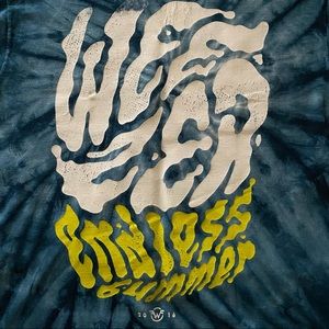 Weezer Panic At the Disco 2016 endless summer tour